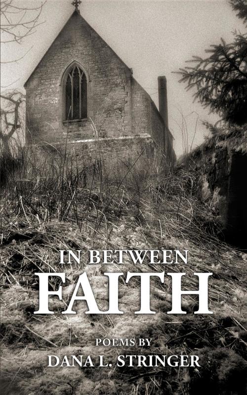 Cover of the book In Between Faith by Dana L. Stringer, Black Picket Fence