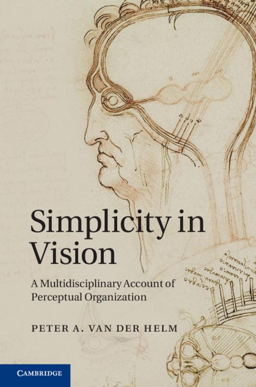 Cover of the book Simplicity in Vision by Peter A. van der Helm, Cambridge University Press