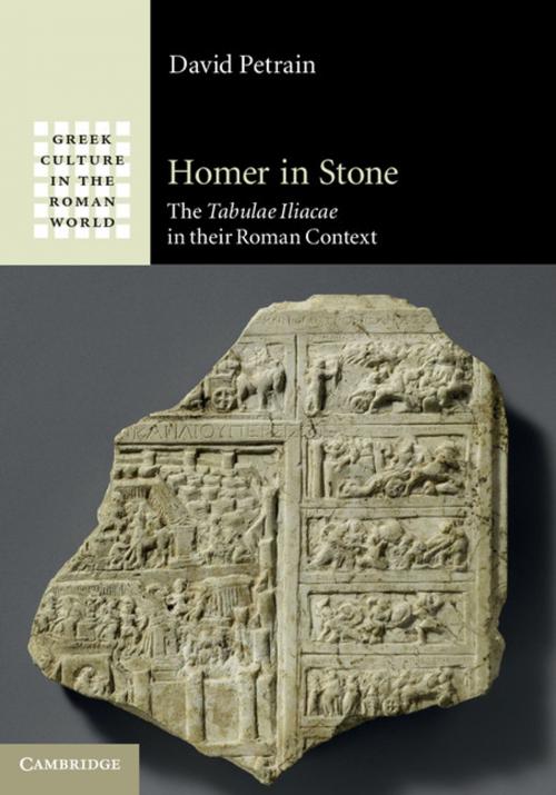 Cover of the book Homer in Stone by David Petrain, Cambridge University Press