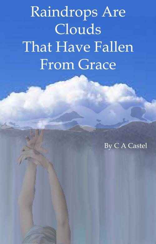 Cover of the book Raindrops Are Clouds That Have Fallen From Grace by C A Castel, C A Castel