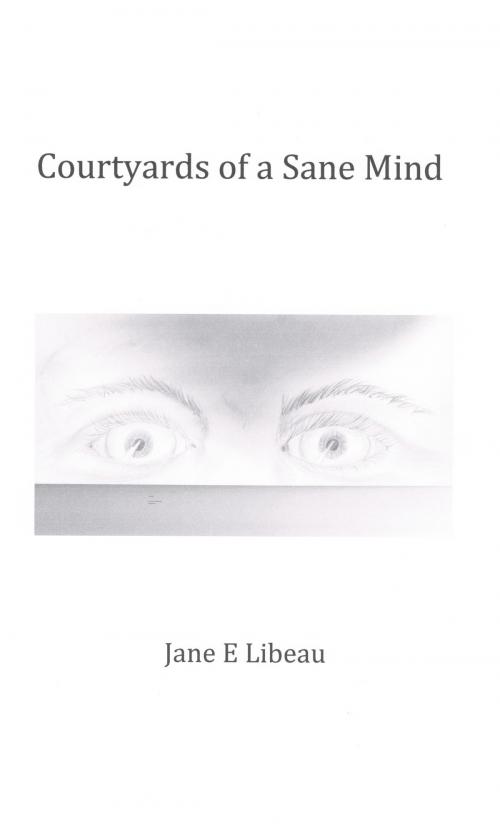 Cover of the book Courtyards of a Sane Mind by Jane E Libeau, Jane E Libeau
