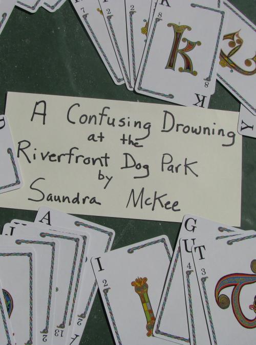 Cover of the book A Confusing Drowning at the Riverfront Dog Park by Saundra McKee, Saundra McKee