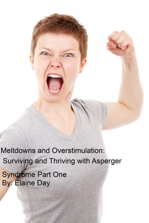 Cover of the book Meltdowns and Overstimulation: Tips for Surviving and Thriving with Asperger Syndrome Part One by Elaine Day, Elaine Day