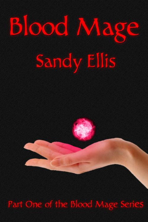 Cover of the book Blood Mage by Sandy Ellis, Sandy Ellis