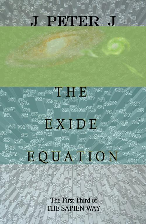 Cover of the book The Exide Equation by J. Peter J., J. Peter J.