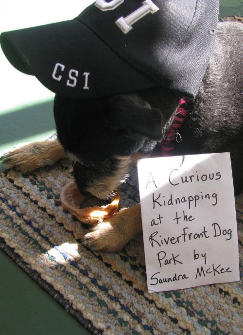 Cover of the book A Curious Kidnapping at the Riverfront Dog Park by Saundra McKee, Saundra McKee