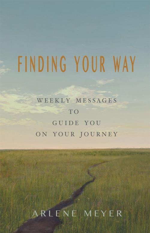 Cover of the book Finding Your Way by Arlene Meyer, Balboa Press