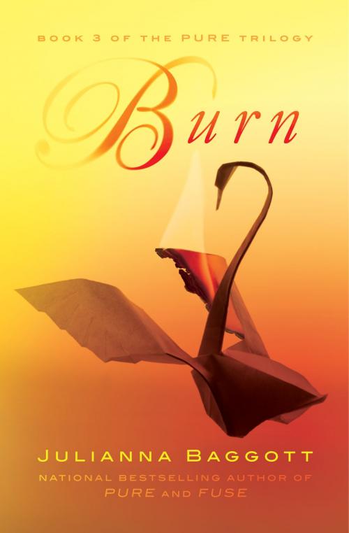 Cover of the book Burn by Julianna Baggott, Grand Central Publishing