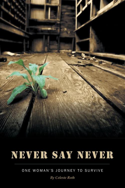 Cover of the book Never Say Never by Celeste Roth, FriesenPress