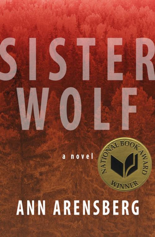 Cover of the book Sister Wolf by Ann Arensberg, Open Road Media