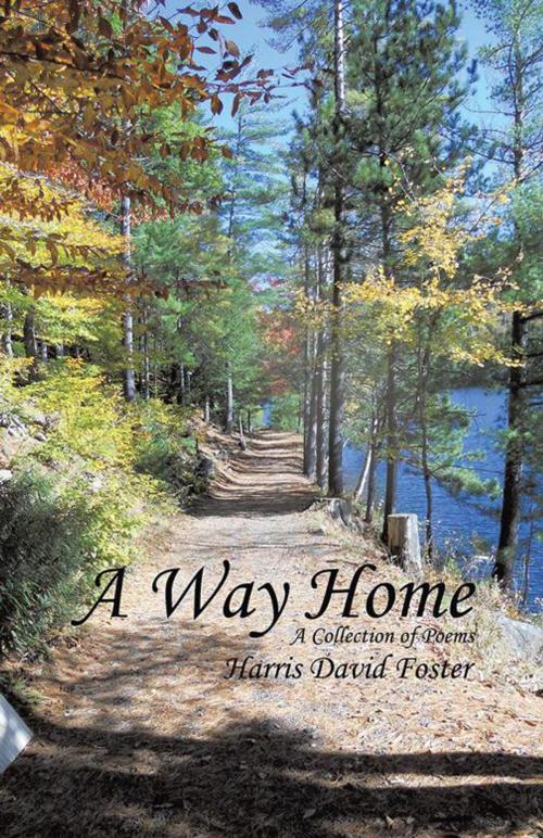 Cover of the book A Way Home by Harris David Foster, Trafford Publishing