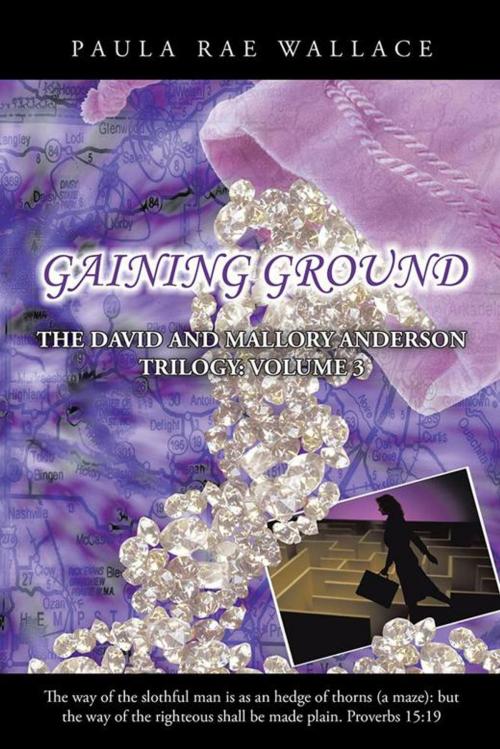Cover of the book Gaining Ground by Paula Rae Wallace, Trafford Publishing
