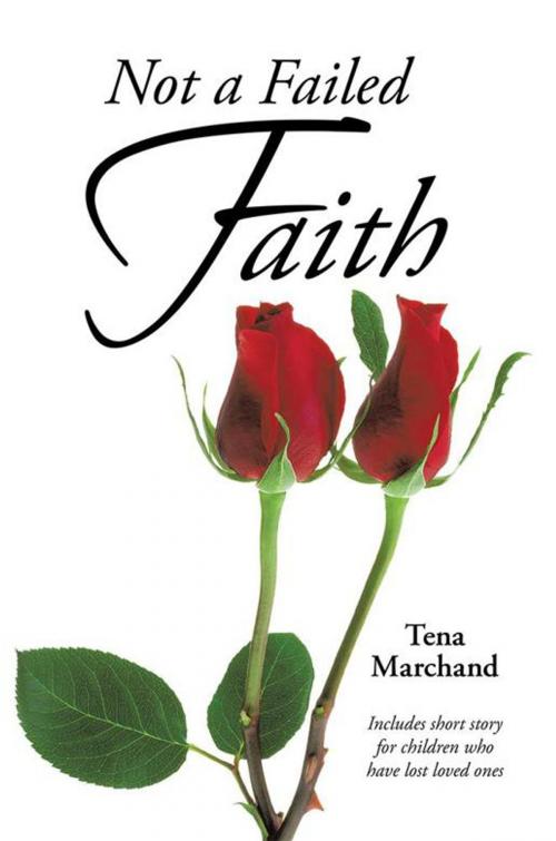 Cover of the book Not a Failed Faith by Tena Marchand, WestBow Press