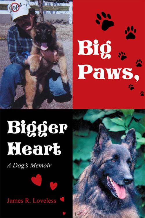 Cover of the book Big Paws, Bigger Heart by James R. Loveless, iUniverse