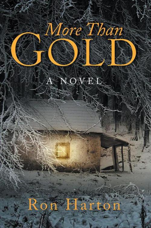 Cover of the book More Than Gold by Ron Harton, Xlibris US