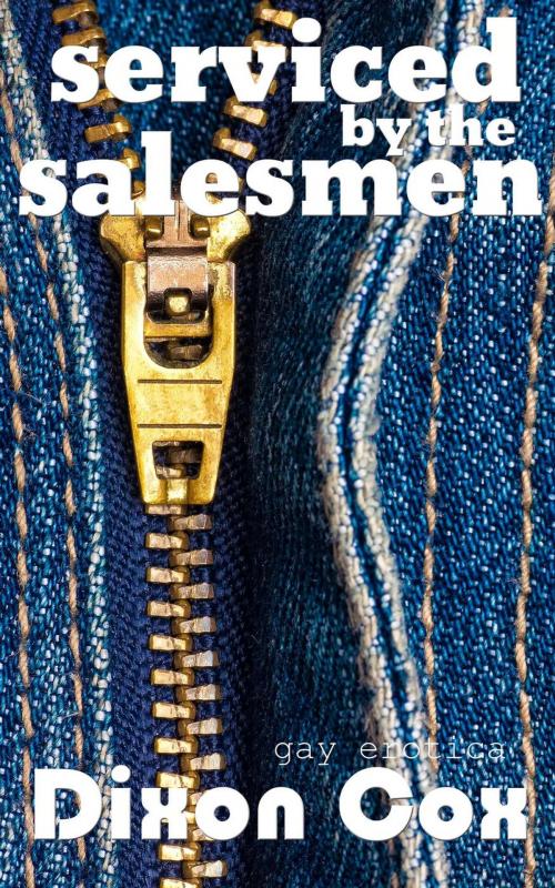 Cover of the book Serviced By The Salesmen by Dixon Cox, Dirty Eros