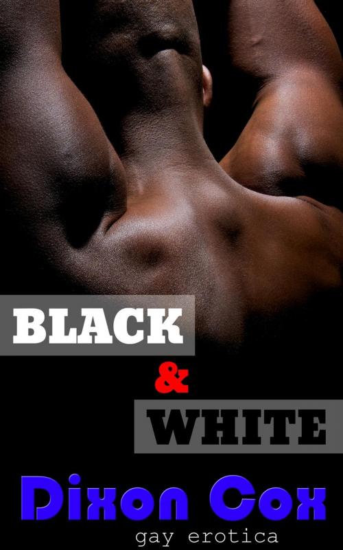 Cover of the book Black And White: 3 Gay Interracial Erotic Short Stories by Dixon Cox, Dirty Eros