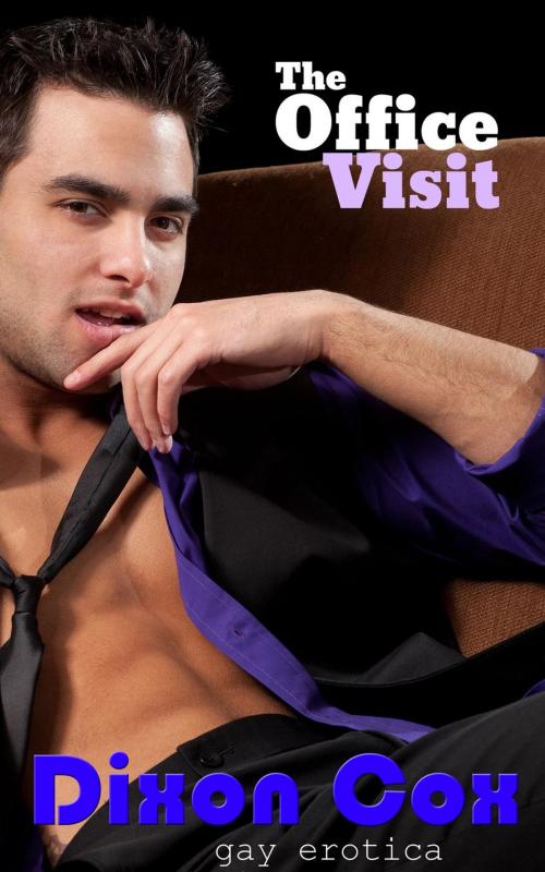 Cover of the book The Office Visit by Dixon Cox, Dirty Eros