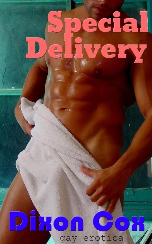 Cover of the book Special Delivery by Dixon Cox, Dirty Eros