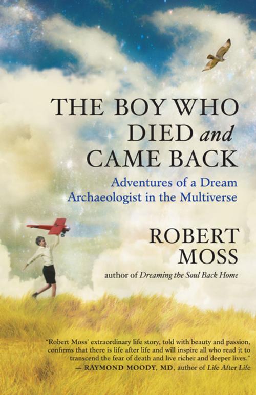 Cover of the book The Boy Who Died and Came Back by Robert Moss, New World Library