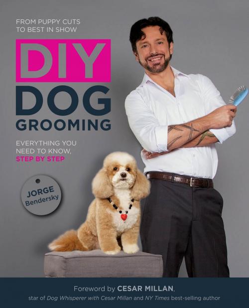 Cover of the book DIY Dog Grooming, From Puppy Cuts to Best in Show by Jorge Bendersky, Quarry Books