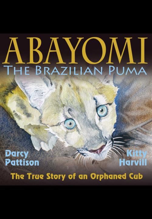 Cover of the book Abayomi, the Brazilian Puma by Darcy Pattison, Mims House