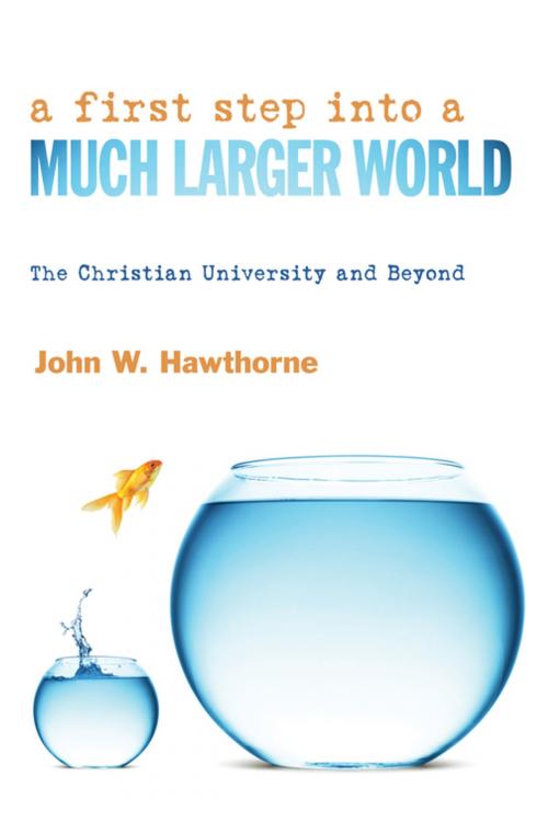 Cover of the book A First Step into a Much Larger World by John W. Hawthorne, Wipf and Stock Publishers