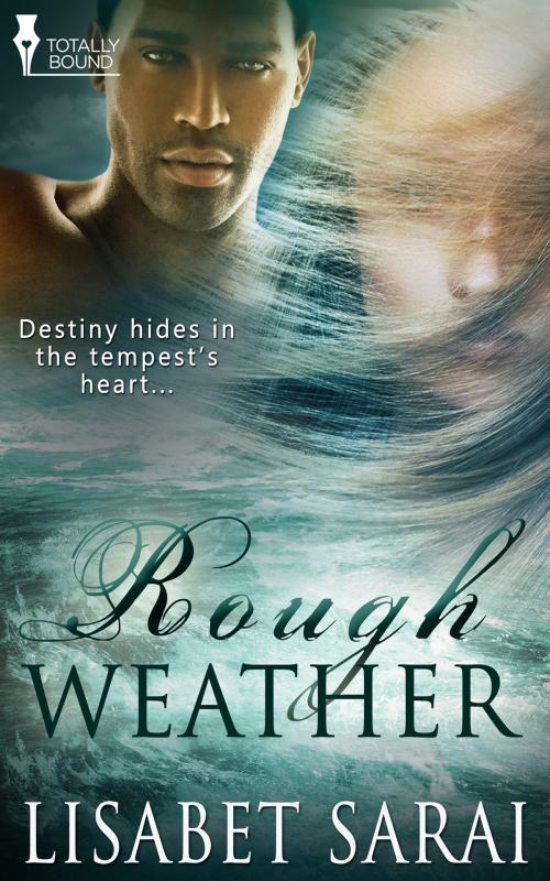Cover of the book Rough Weather by Lisabet  Sarai, Totally Entwined Group Ltd