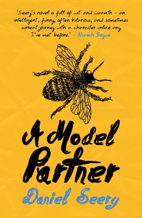Cover of the book A Model Partner by Daniel Seery, Liberties Press