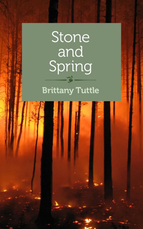 Cover of the book Stone and Spring by Brittany Tuttle, She Writes Press