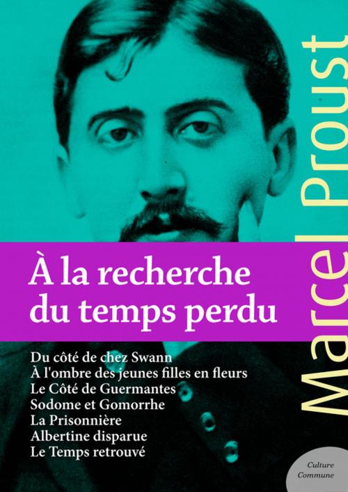 Cover of the book À la recherche du temps perdu by Marcel Proust, Culture commune