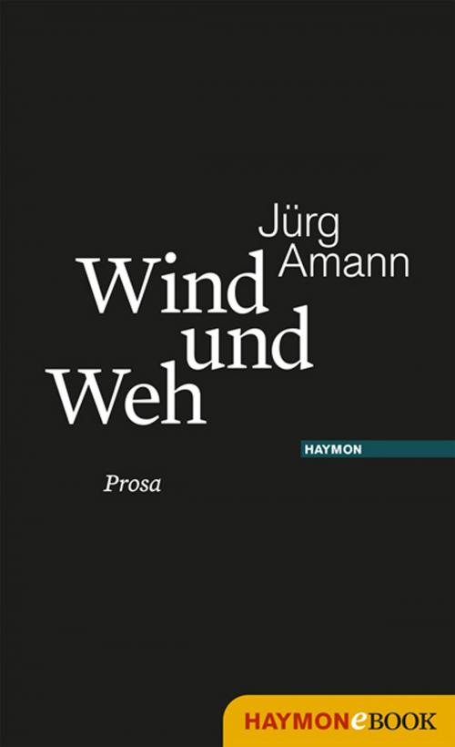 Cover of the book Wind und Weh by Jürg Amann, Haymon Verlag