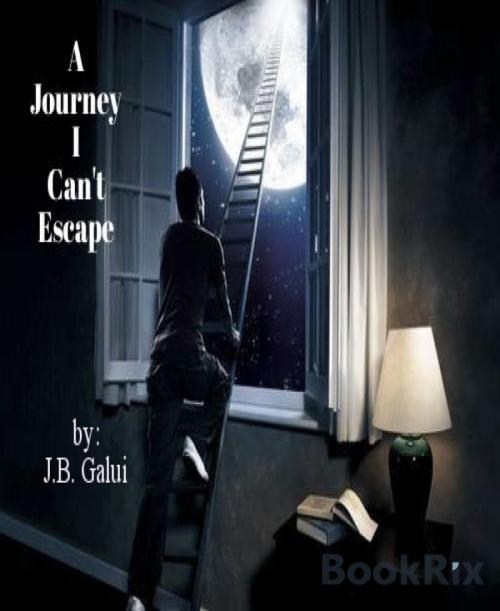 Cover of the book A Journey I Can't Escape by J.B. Galui, BookRix