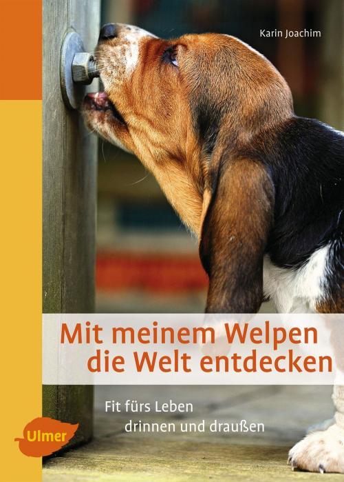 Cover of the book Mit meinem Welpen die Welt entdecken by Karin Joachim, Verlag Eugen Ulmer