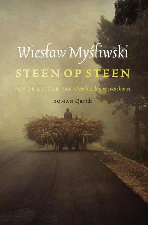 Cover of the book Steen op steen by Wieslaw Mysliwski, Singel Uitgeverijen