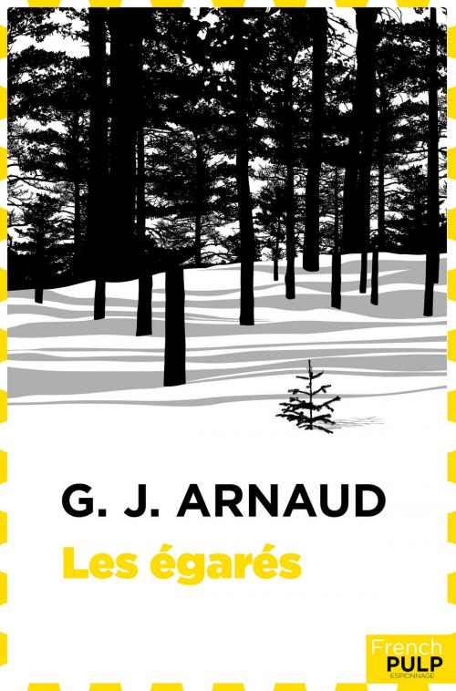 Cover of the book Les Egarés by G.j. Arnaud, French Pulp