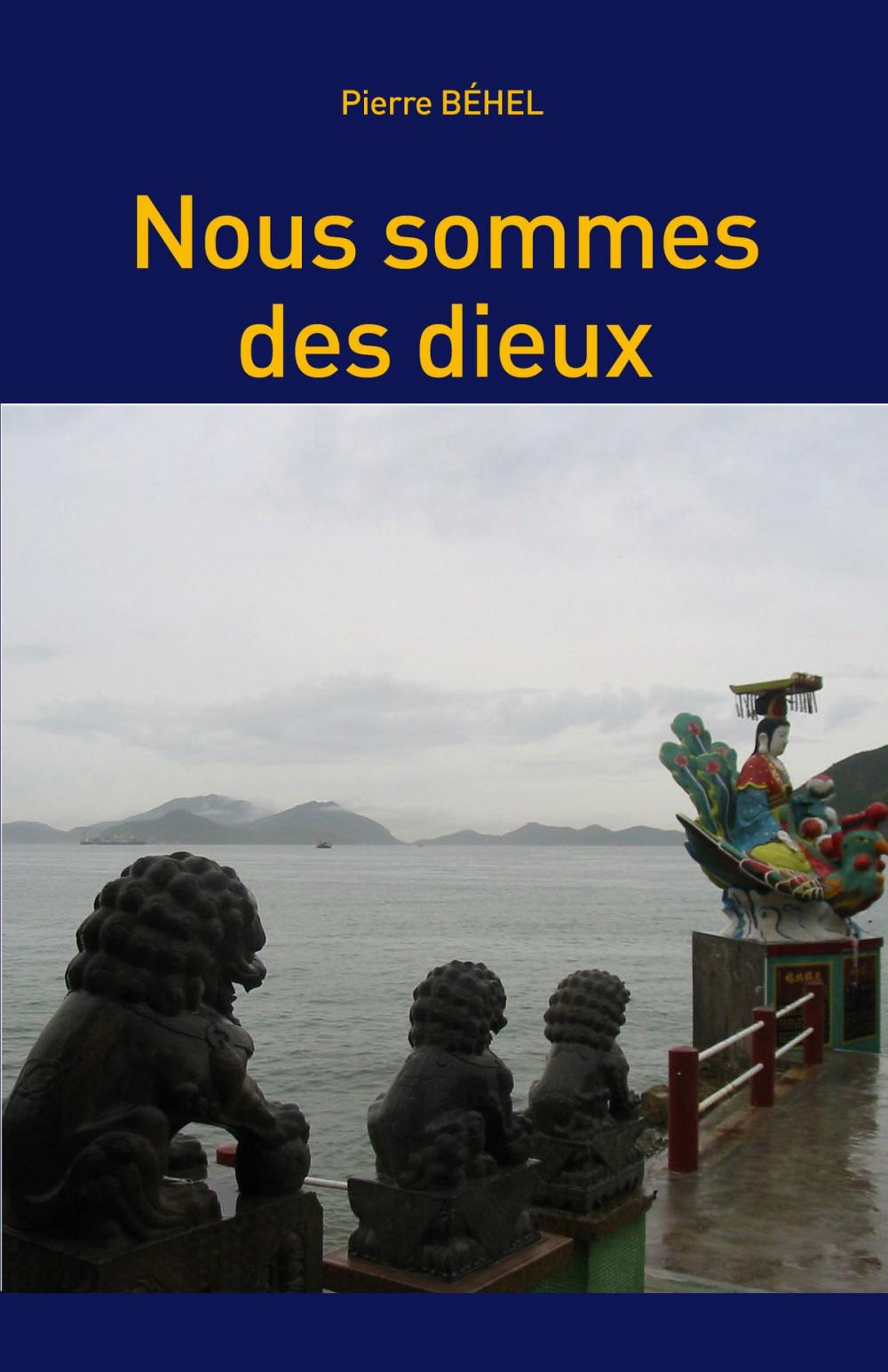 Big bigCover of Nous sommes des dieux