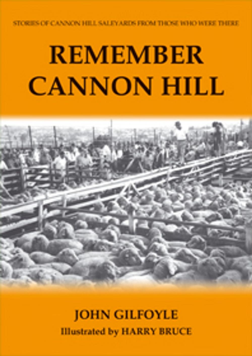 Big bigCover of Remember Cannon Hill