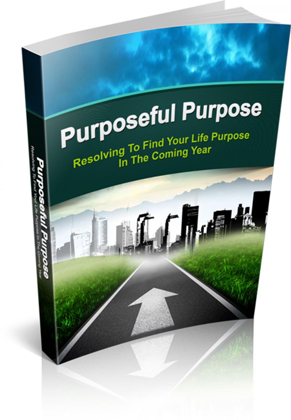 Big bigCover of Purposeful Purpose