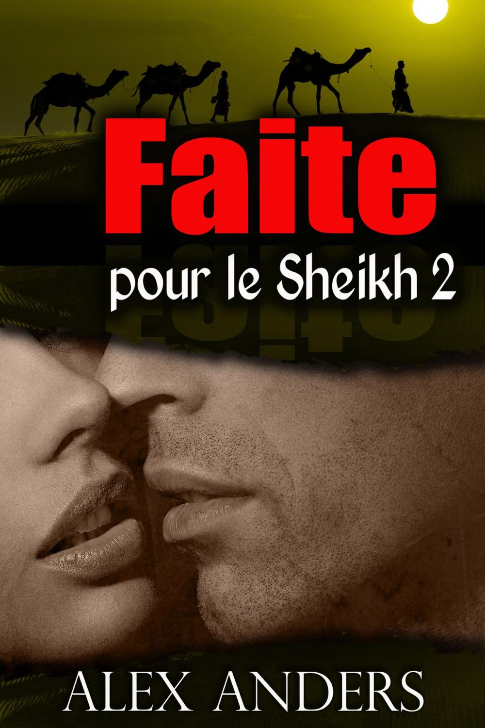 Big bigCover of Faite pour le Sheikh 2