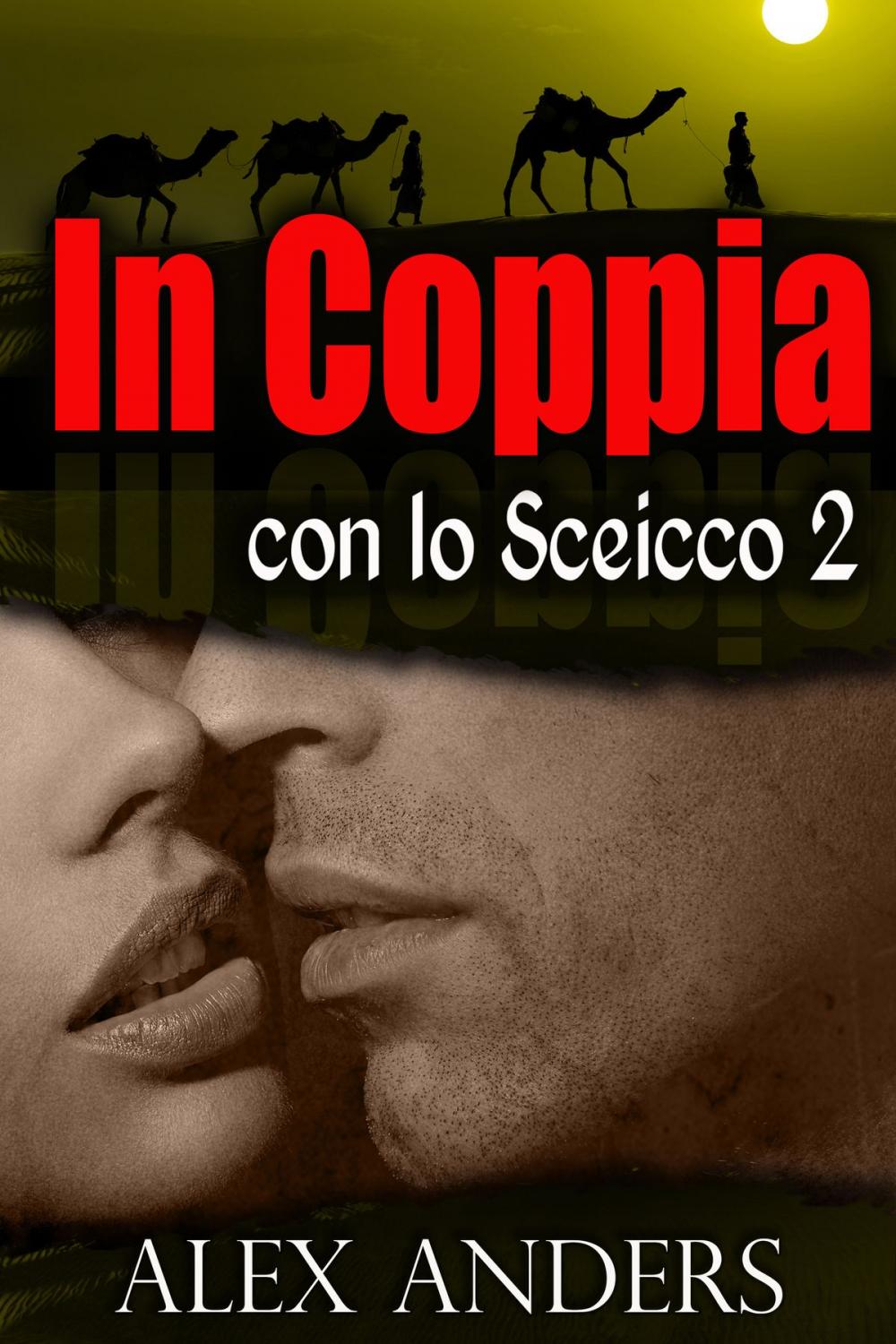 Big bigCover of In coppia con lo Sceicco 2