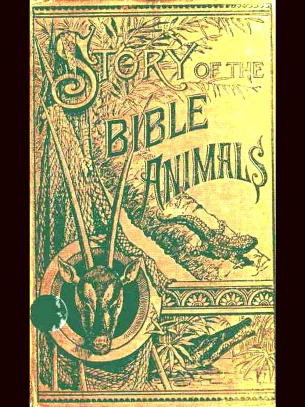 Big bigCover of Story of the Bible Animals