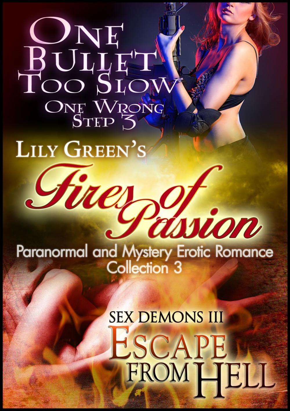 Big bigCover of Fires of Passion 3: Paranormal and Mystery Erotic Romance Collection