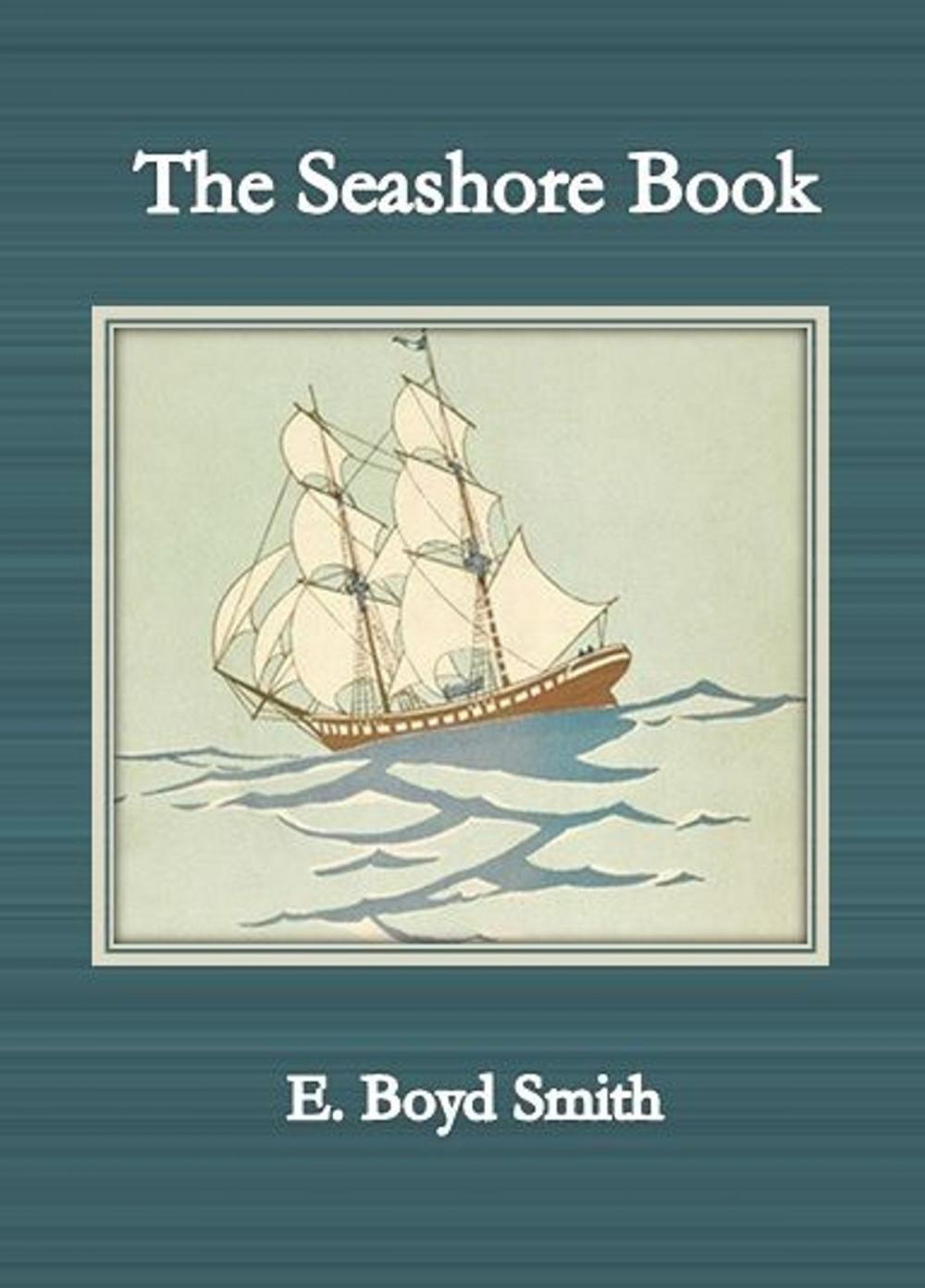 Big bigCover of The Seashore Book