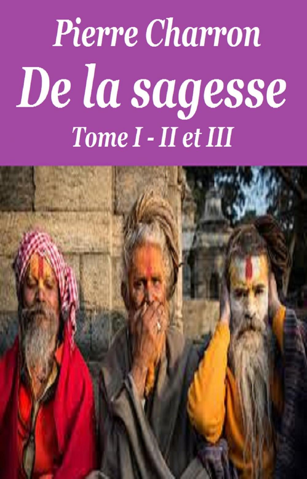 Big bigCover of De la sagesse