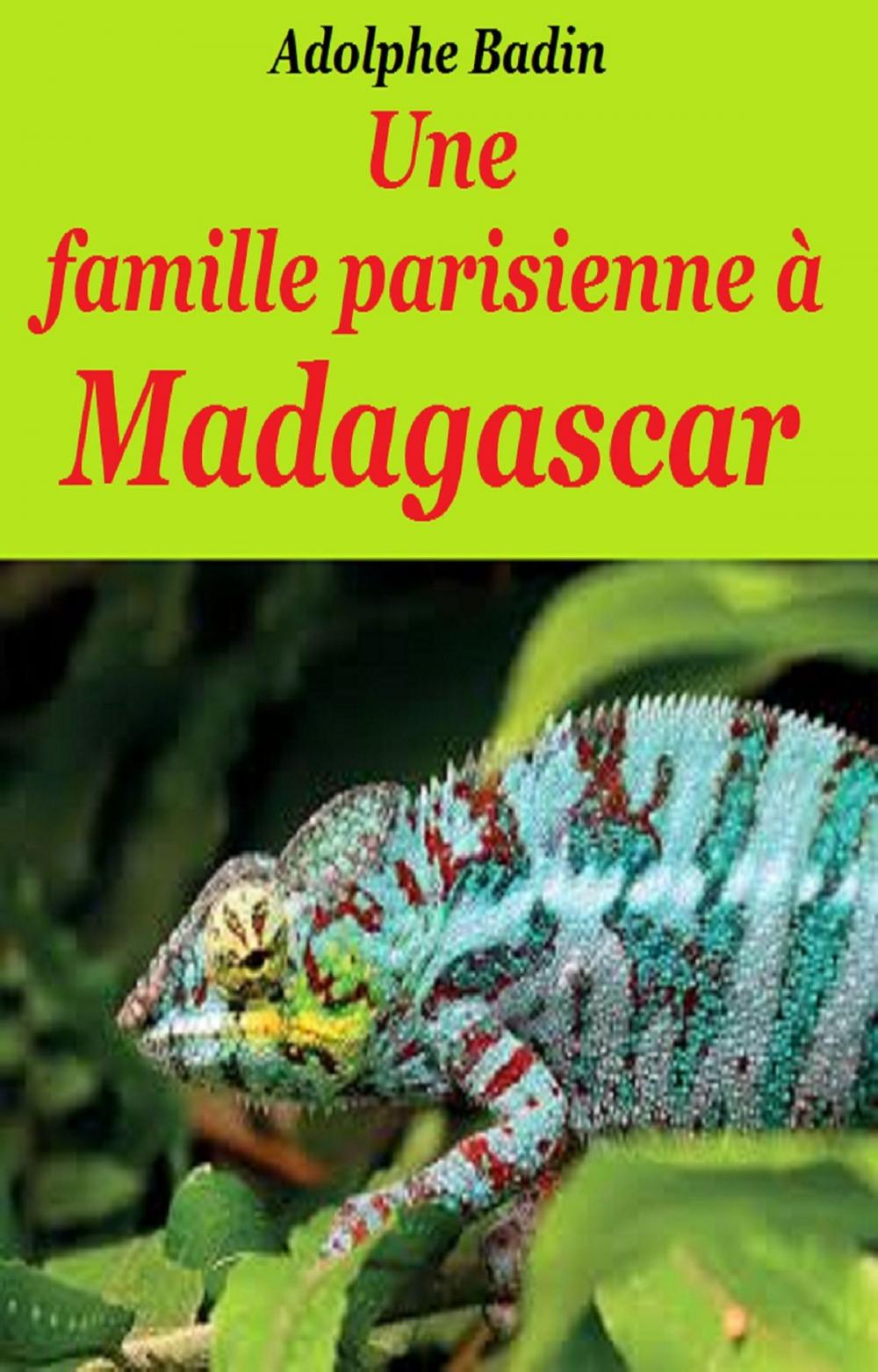 Big bigCover of Une famille parisienne à Madagascar