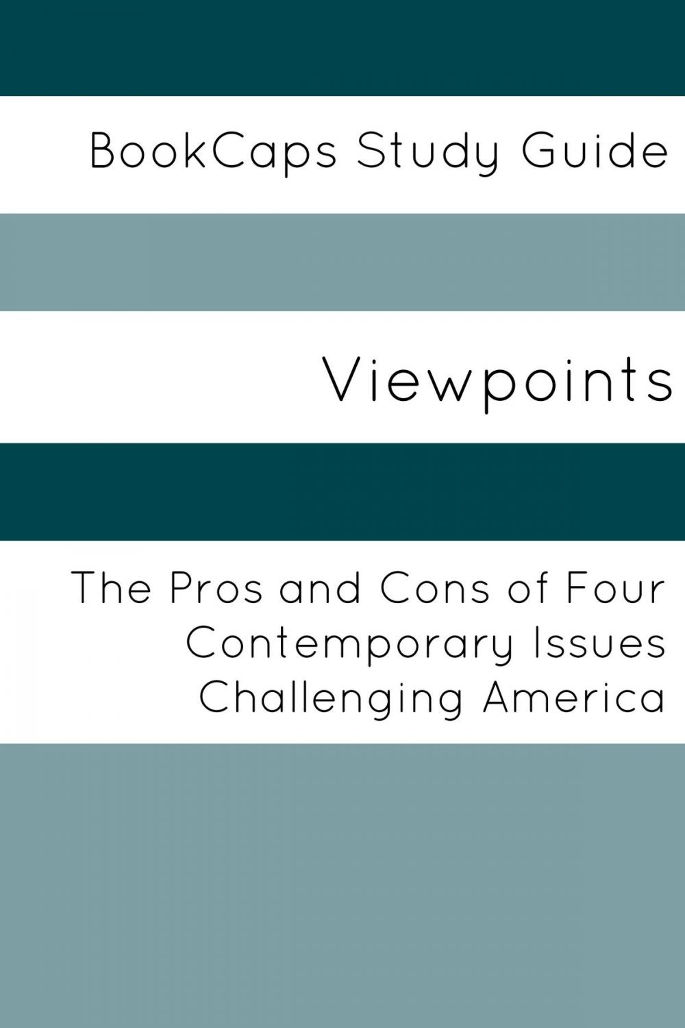 Big bigCover of Viewpoints: The Pros and Cons of Four Contemporary Issues Challenging America