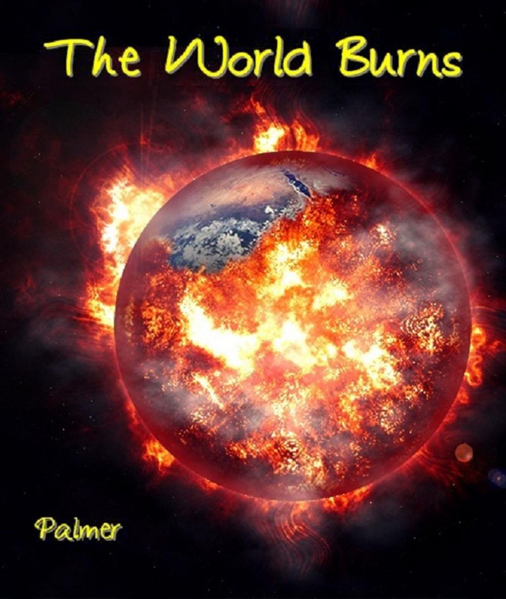 Big bigCover of The World Burns