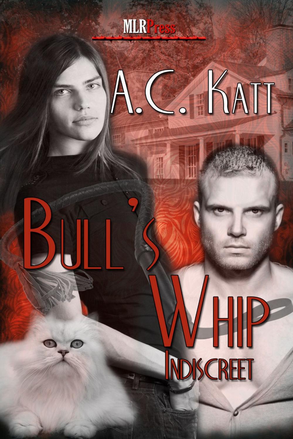 Big bigCover of Bull's Whip