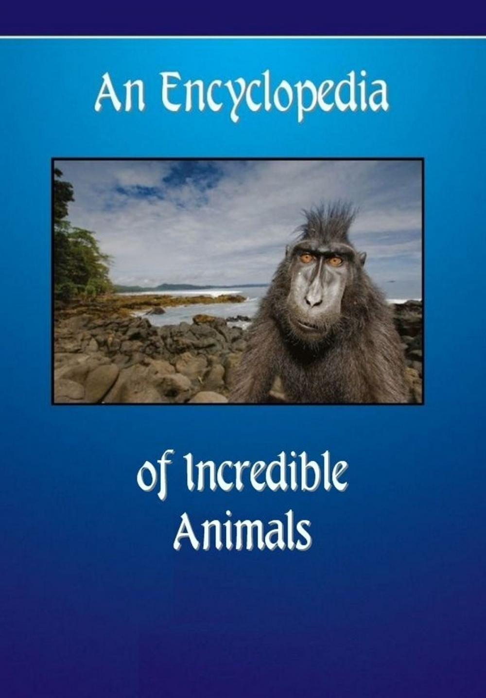 Big bigCover of An Encyclopedia of Incredible Animals